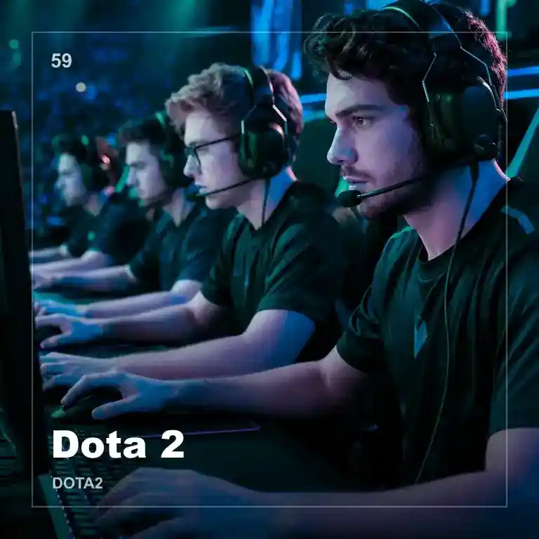 雷竞技Dota2数据支持